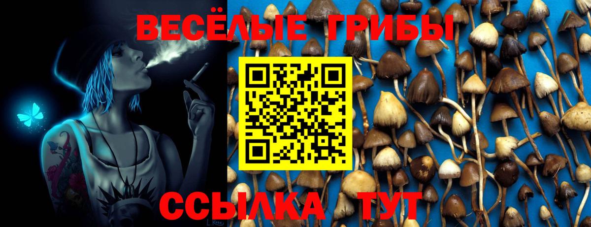 Тверь  Псилоцибиновые грибы Cubensis  Галлюциногенные грибы Psilocybe  Вход с VPN 